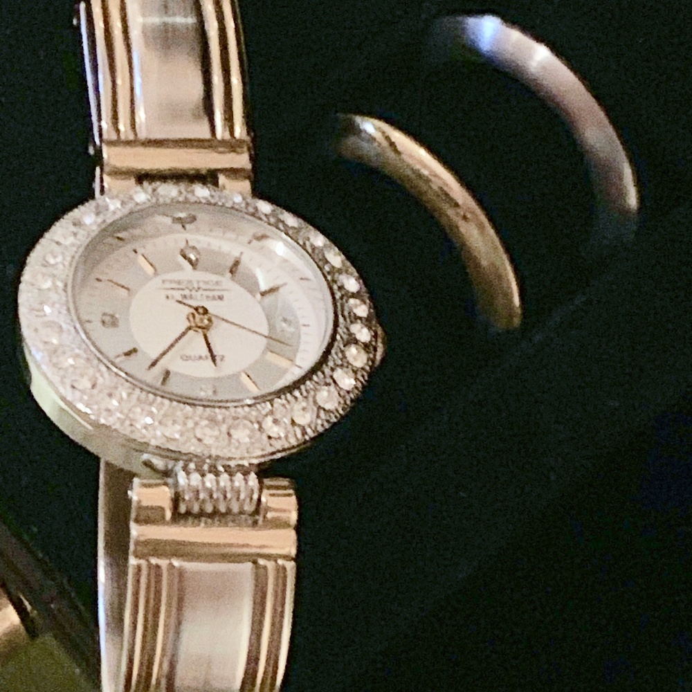 Two Toned Watch with Interchangeable Bezels